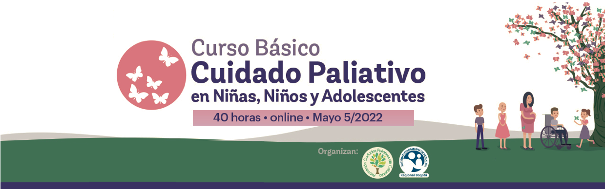 Curso Básico Cuidado Paliativo en niños, niñas y adolescentes.